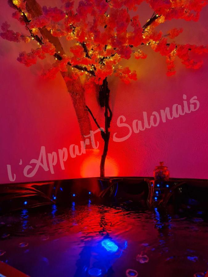Lappart-Salonais 70M2 Avec Jacuzzi Privatif Dış mekan fotoğraf
